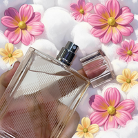 Burberry Brit Sheer For Her Eau de Toilette 100ml Fresh Floral Fruity Women's Fragrance
