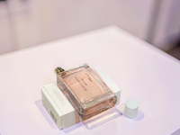Burberry Her Blossom Eau de Toilette 100ml Fresh Floral Fruity Women's Fragrance