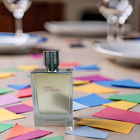 Hermès Terre d’Hermès Eau Givrée Eau de Parfum 100ml