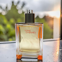 Hermès Terre d’Hermès Eau de Toilette 100ml