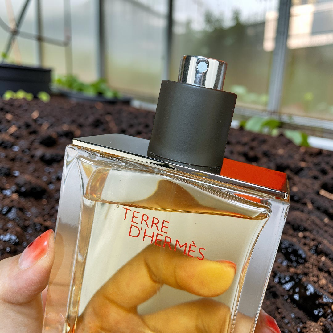 Hermès Terre d’Hermès Eau de Toilette 100ml