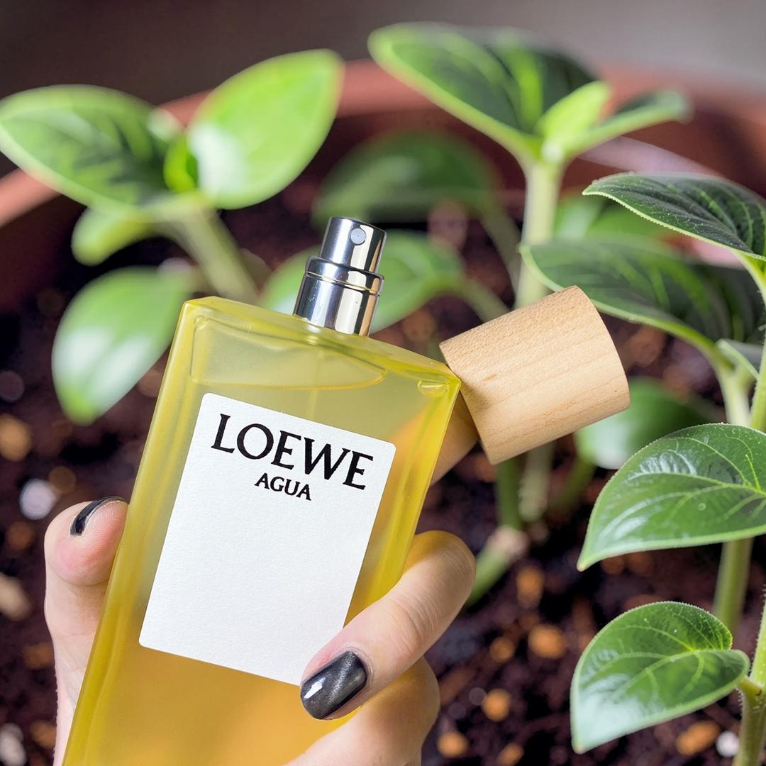 LOEWE Agua Eau de Toilette 100ml