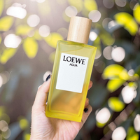 LOEWE Agua Eau de Toilette 100ml