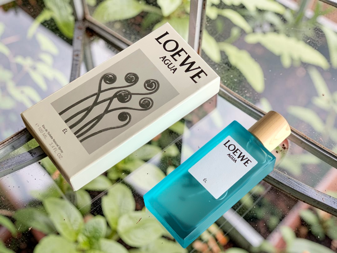 LOEWE Agua Él Eau de Toilette 100ml