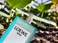 LOEWE Agua Él Eau de Toilette 100ml